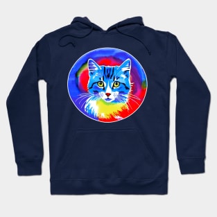 Colorful Rainbow Cats Digital Portrait (MD23Ar009) Hoodie